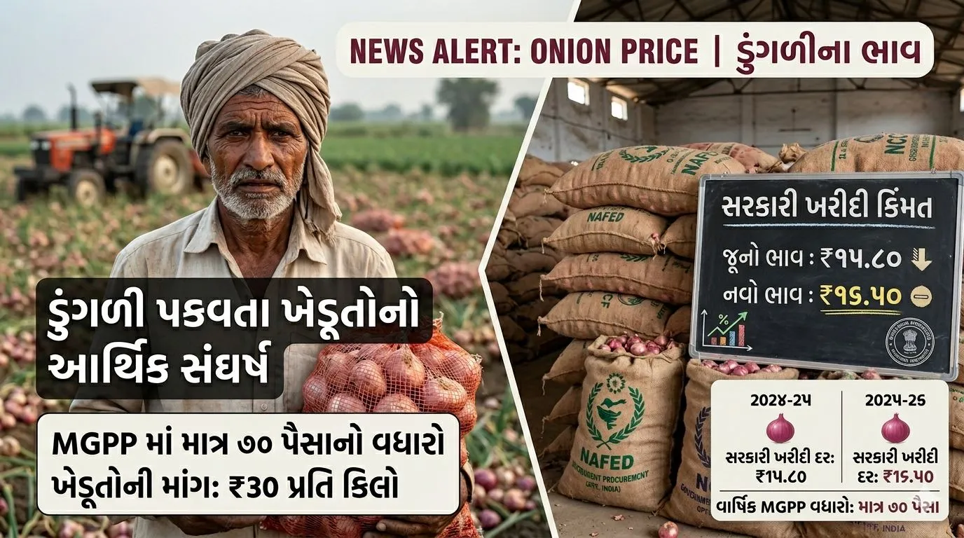 Onion price : ડુંગળીના ખેડૂતો માટે મોટા સમાચાર, સરકારે ખરીદ કિંમતમાં નજીવો વધારો કર્યો