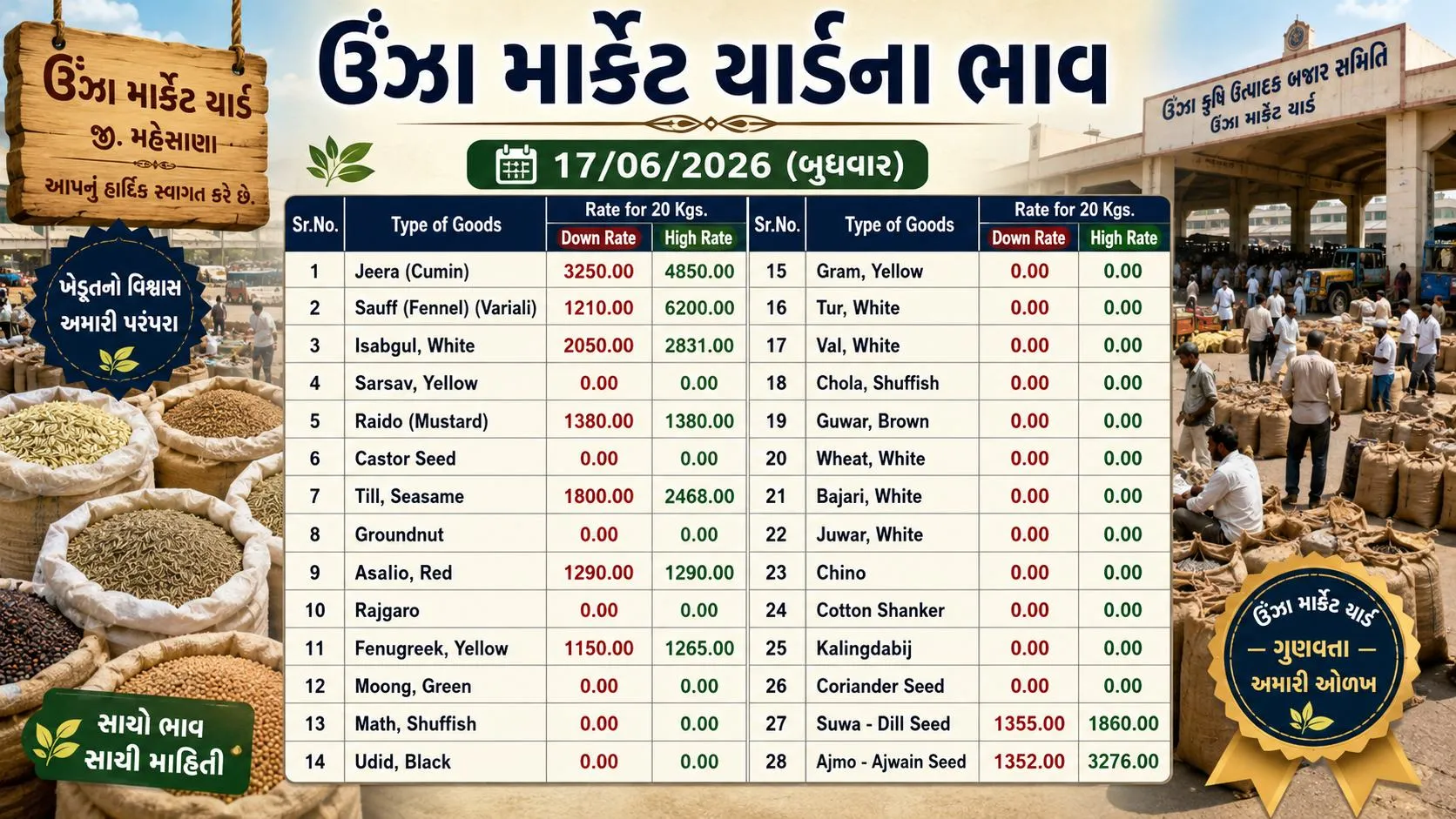 Unjha market yard na bhav : ઉંઝા માર્કેટ યાર્ડમાં જીરું 4850 રૂપિયા સુધી પહોંચ્યું, વરિયાળી 6,200 રૂપિયા