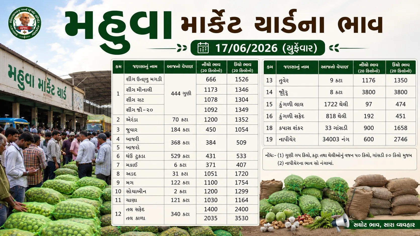 Mahuva market yard bazar bhav : આજે મહુવા માર્કેટ યાર્ડમાં વિવિધ જણસીના કેવા ભાવ બોલાયા?