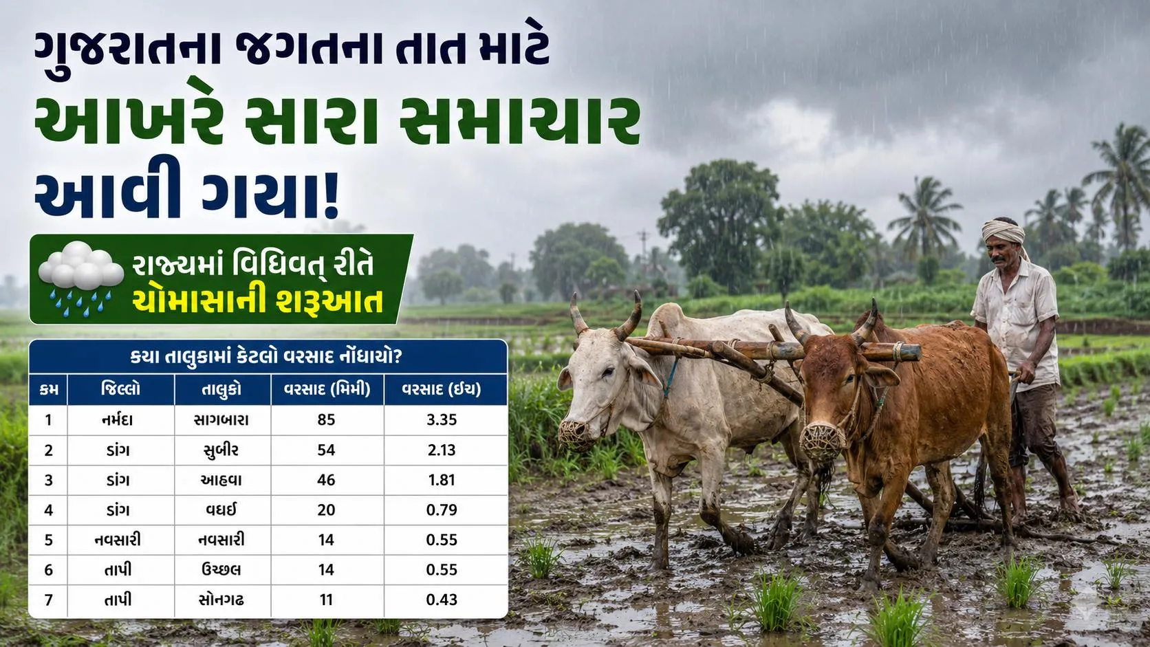 Monsoon 2026 gujarat : છેલ્લા 24 કલાકમાં ગુજરાતના કેટલા તાલુકામાં વરસાદ નોંધાયો? જાણો આંકડા