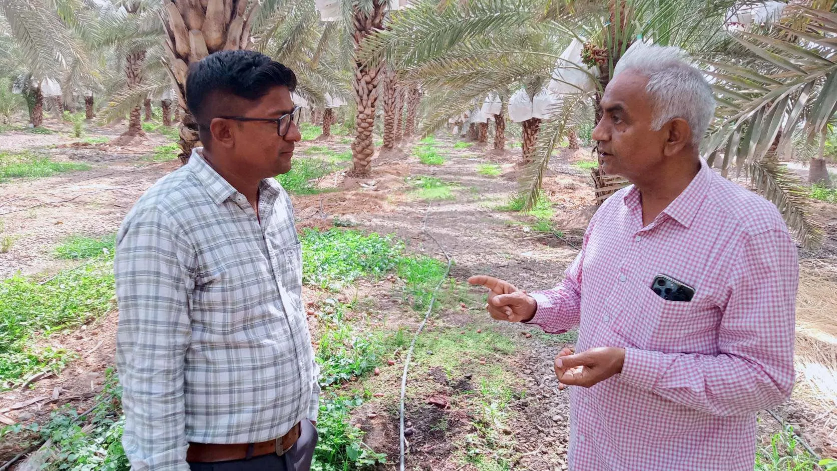 Kharek ni Kheti : મોરબીના ઉદ્યોગપતિએ ખારેકની ખેતીમાં ડંકો વગાડ્યો, વીડિયોમાં જુઓ સફળતાની કહાની