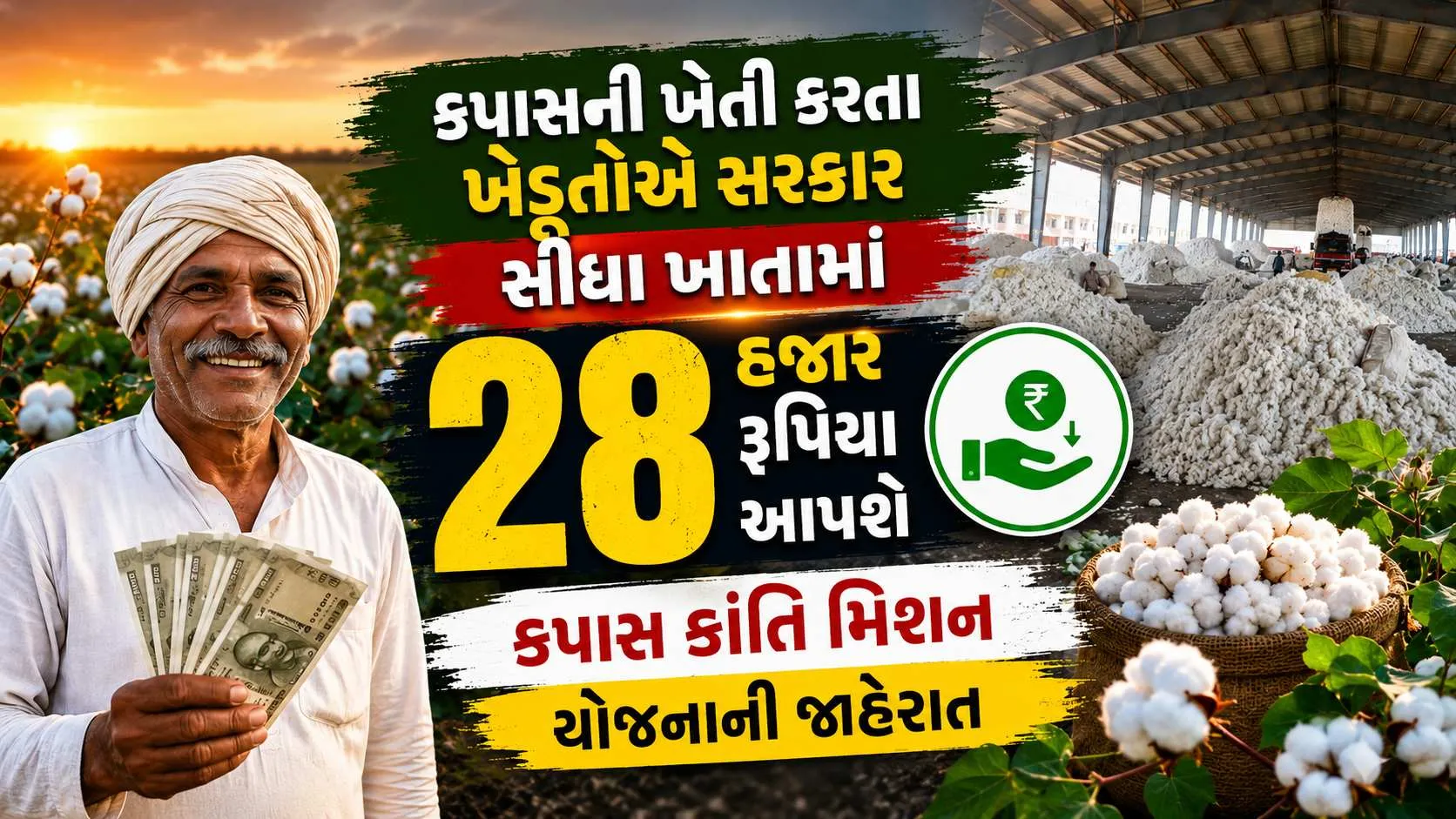 Kapas ni kheti : કપાસની ખેતી કરતા ખેડૂતોને સરકાર સીધા ખાતામાં 28 હજાર રૂપિયા આપશે, Kapas Kranti Mission યોજનાની જાહેરાત