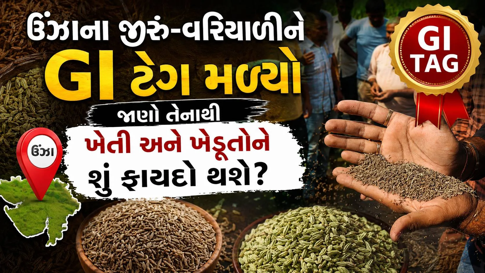 Unjha cumin GI tag : ઉંઝાના જીરું-વરિયાળીને GI ટેગ મળ્યો, જાણો તેનાથી ખેતી અને ખેડૂતોને શું ફાયદો થશે?