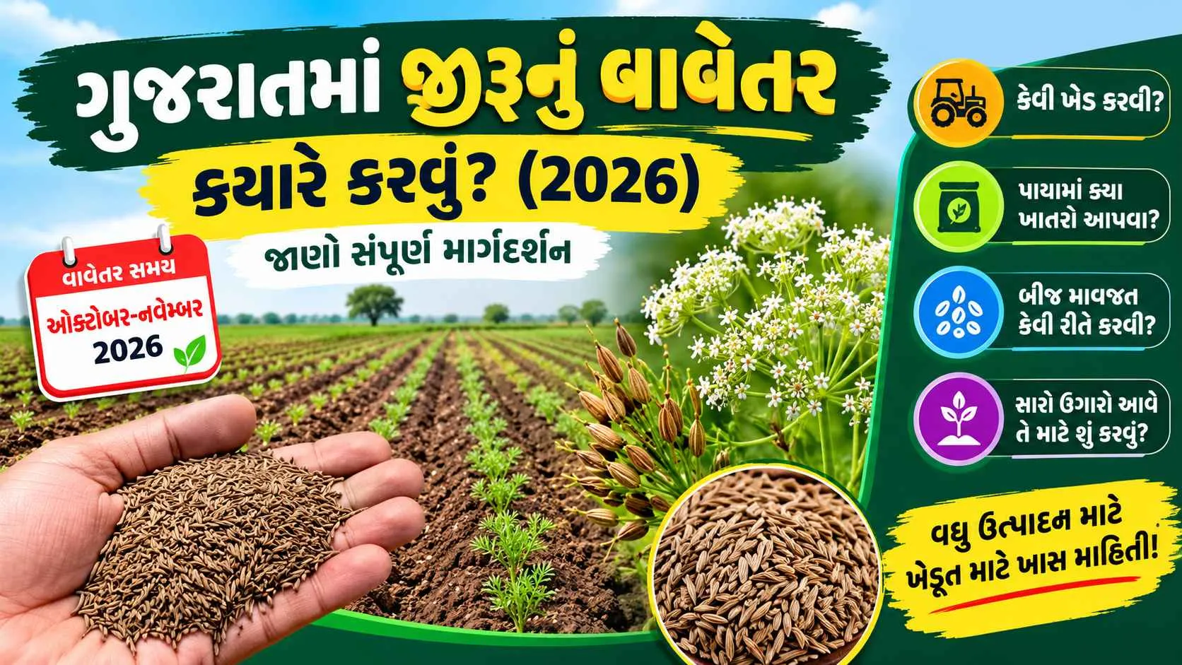 Gujarat Jeera Sowing Time 2026 : આ વર્ષે જીરુંનું વાવેતર ક્યારે કરવું? જાણો ખેડ, ખાતર, બીજ માવજત અને સારા ઉગારા માટેની સંપૂર્ણ માહિતી
